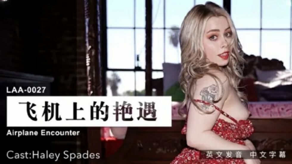 Poster of LAA0027 - Cuộc gặp tình cờ trên máy bay